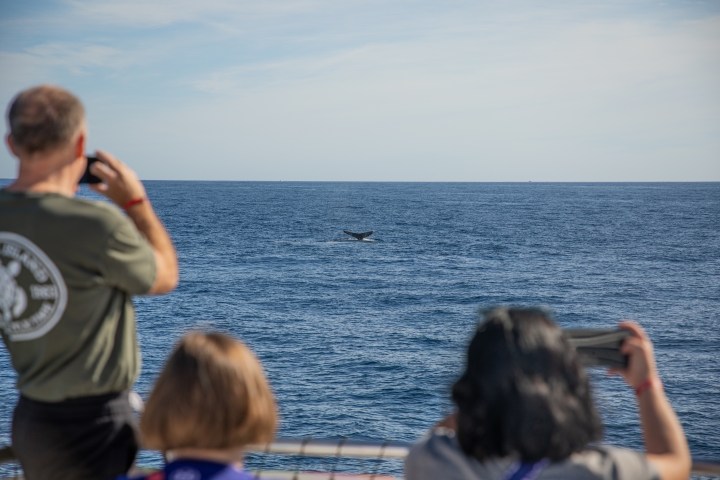 a group of people standing in front of a body of water