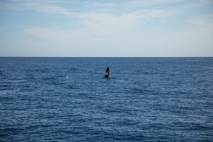 a body of water next to the ocean