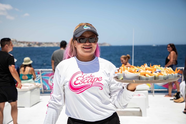 a person holding a hot dog