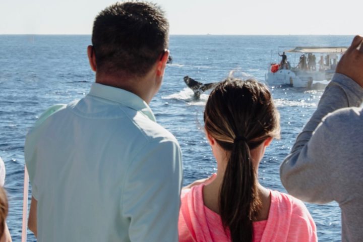 a man standing next to a body of water