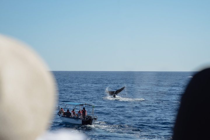 a close up of a boat next to a body of water