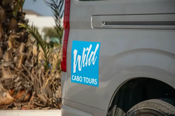 Van with 'Wild Cabo Tours' logo parked near palm trees.